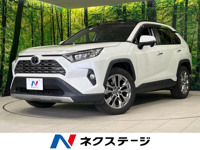 RAV42.0 G Zパッケージ 4WD