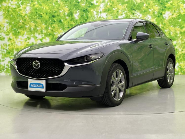 CX-301.8 XD プロアクティブ ツーリングセレクション