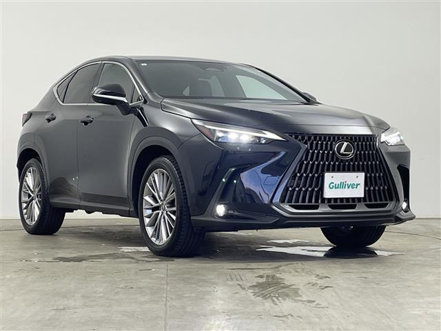 NX350h バージョンL