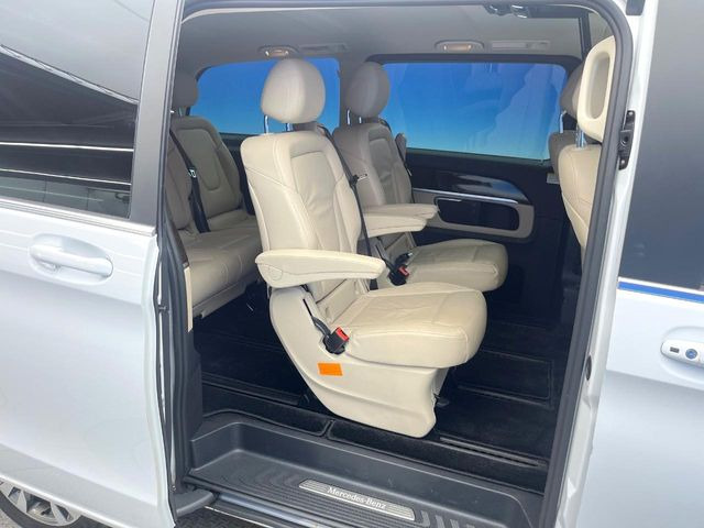 ���㕔���Ȃ��C�ɂȂ�悤�ȃL�Y�E�����ւ��蓙�A�傫�ȃ_���[�W�͂Ȃ��A�ǍD�ȏ�Ԃł��B