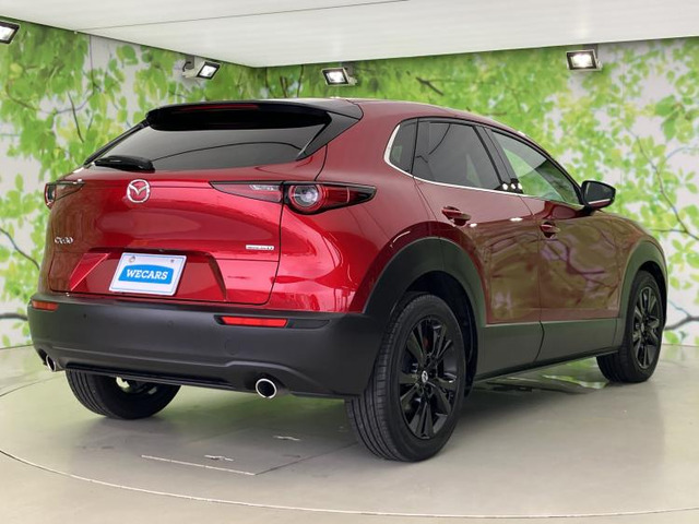 CX-301.8 XD ブラックトーンエディション