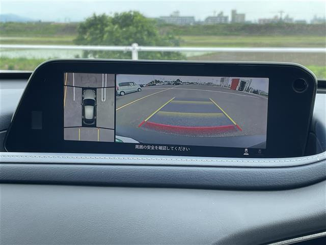 CX-302.0 20S プロアクティブ