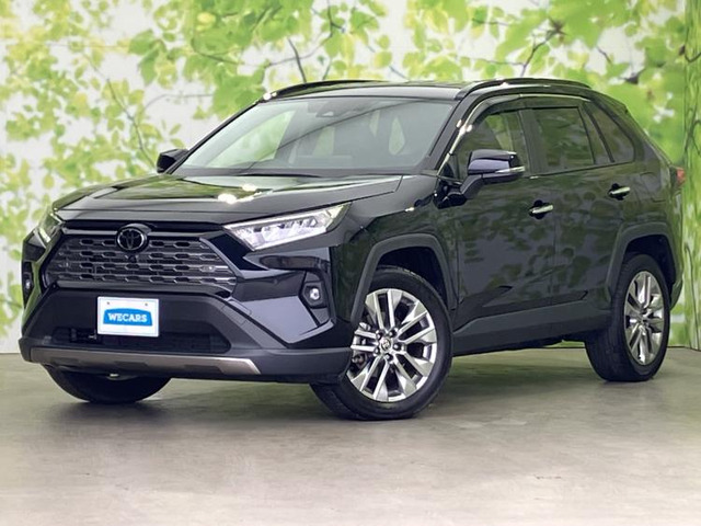 RAV42.0 G Zパッケージ 4WD