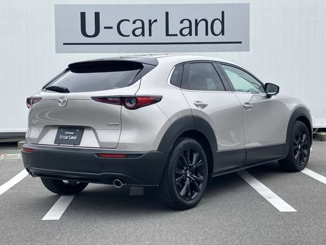 CX-302.0 20S
