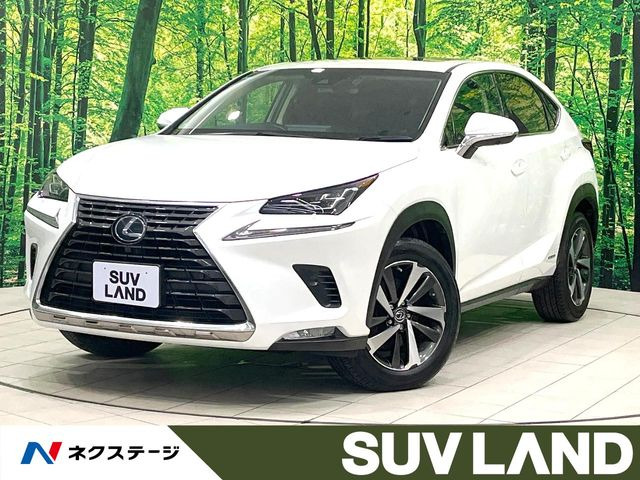 NX300h バージョンL