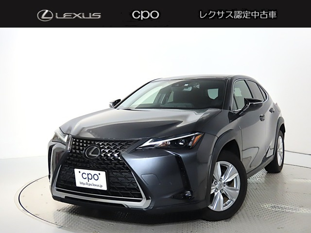 UX250h バージョンC