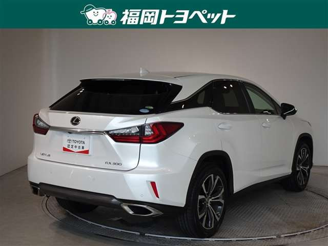 RX300 バージョンL