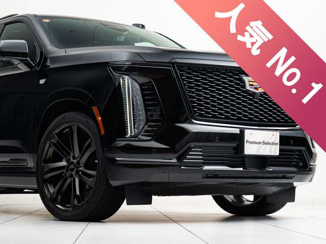 �y �l�C�J�X�^�� �z������J�X�^���̒��ł��z�C�[���y�C���g��1�Ԑl�C�B�u���b�N�y�C���g�őS�̂̈�ۂ��������߂�̂��悵�A�u�����Y��S�[���h�Ƀy�C���g���ăI���W�i���Ȏd�l�ɂ���̂��������߂ł��B