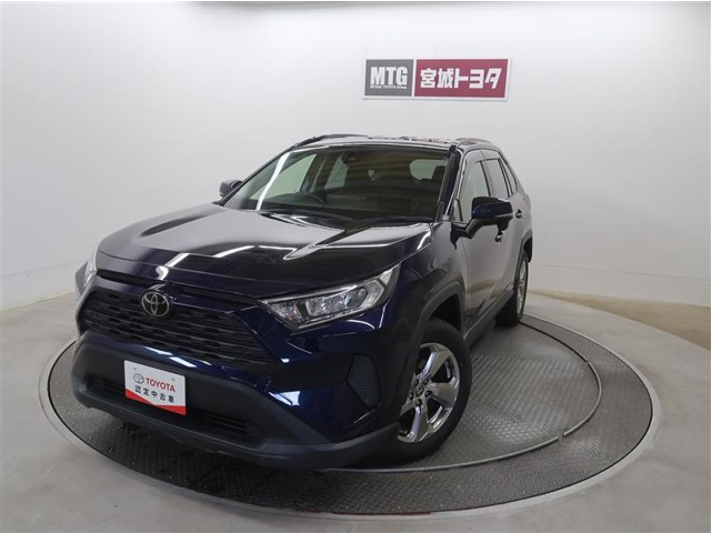 RAV42.0 X