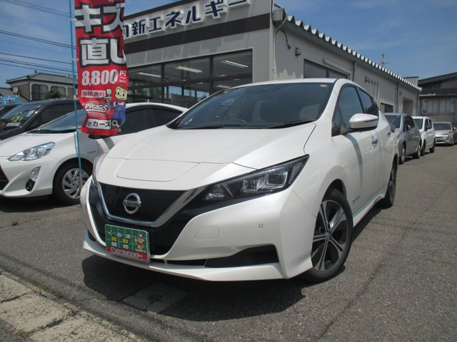 リーフX