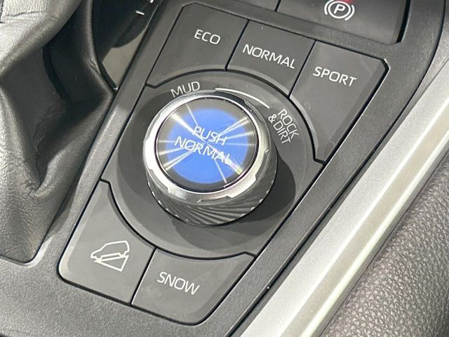 RAV42.0 アドベンチャー オフロードパッケージ 4WD