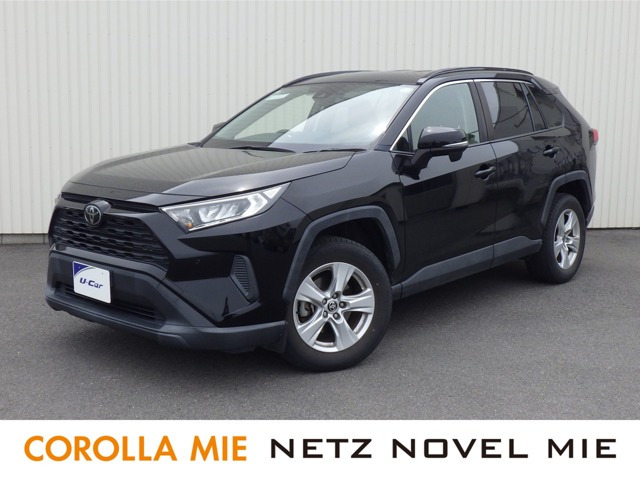 RAV42.0 X