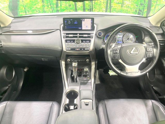 NX300h バージョンL