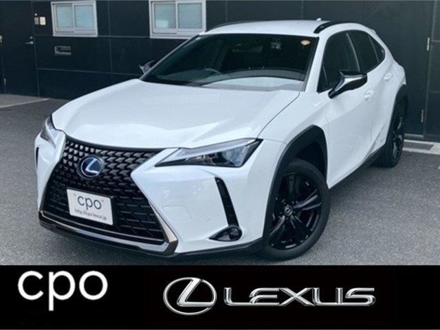 UX250h