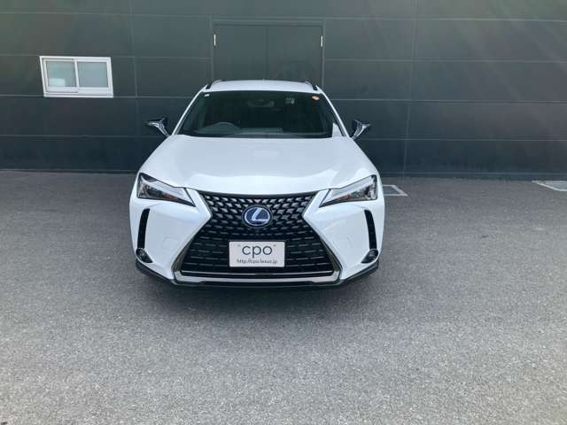 UX250h