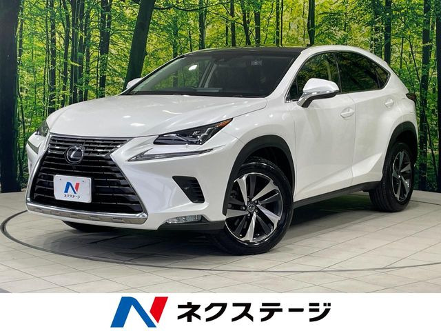 NX200t Iパッケージ