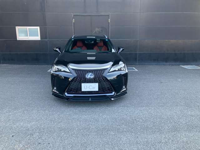 UX250h Fスポーツ