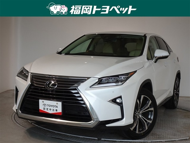 RX300 バージョンL