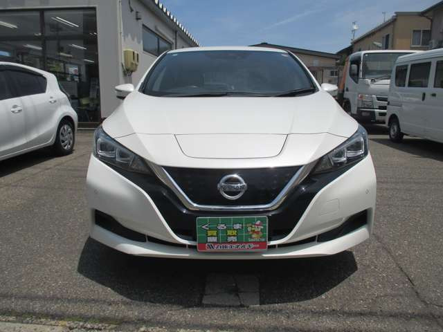 リーフX