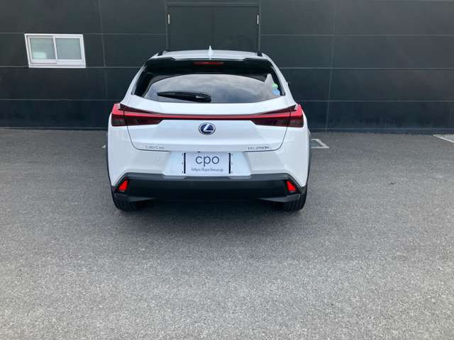 UX250h