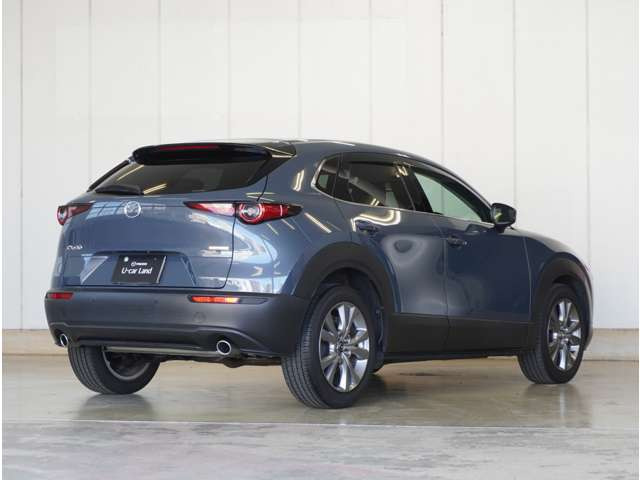 CX-301.8 XD プロアクティブ