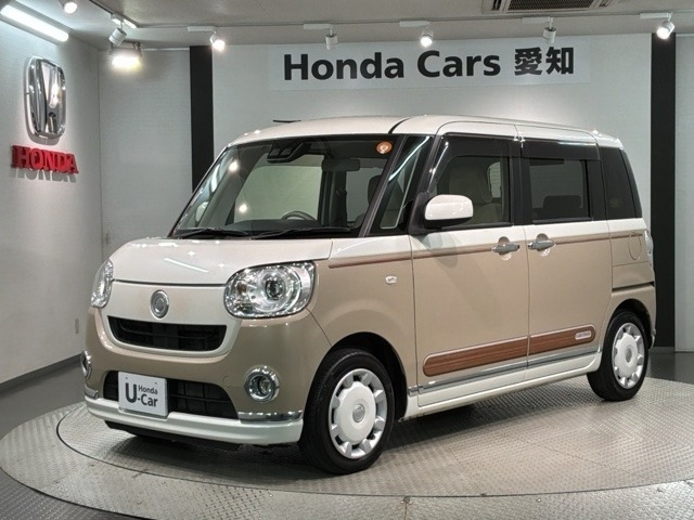 ムーヴキャンバスG メイクアップ SAIII
