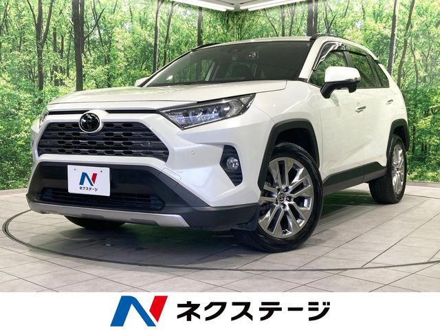 RAV42.0 G Zパッケージ 4WD
