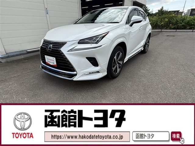 NX300h Iパッケージ 4WD