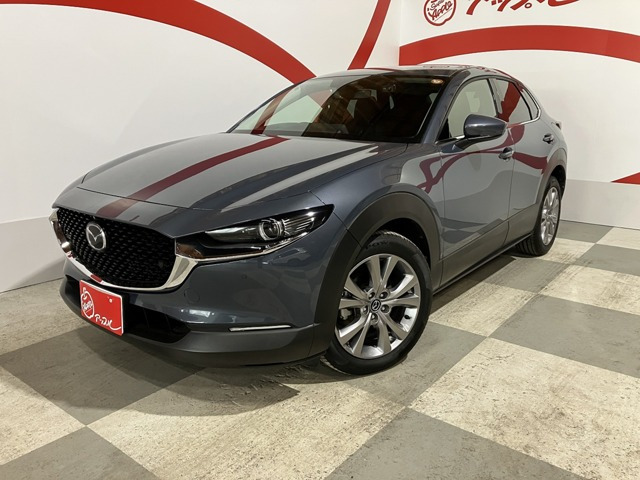 CX-301.8 XD プロアクティブ ツーリングセレクション 4WD