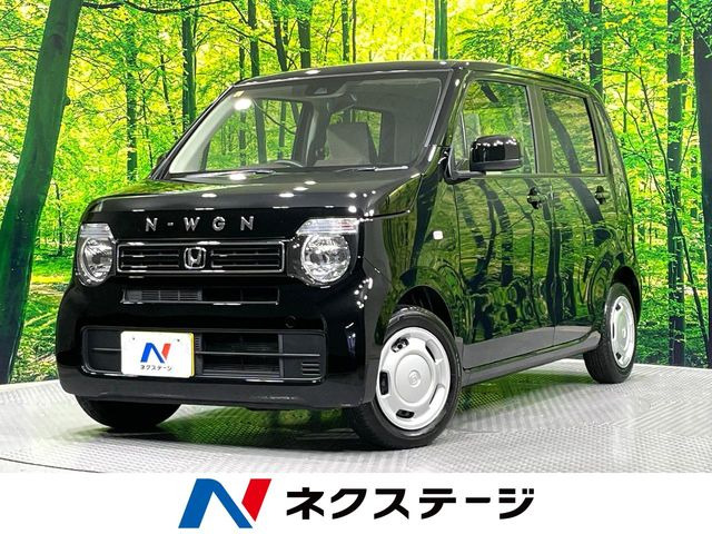 N-WGNG