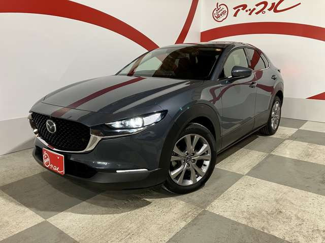 CX-301.8 XD プロアクティブ ツーリングセレクション 4WD
