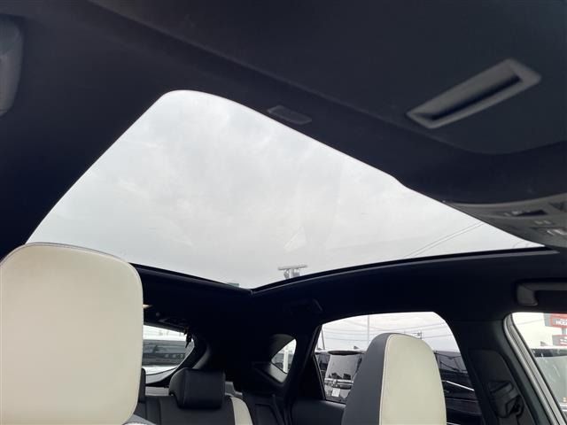 NX300h Fスポーツ