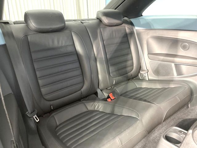 ���㕔���Ȃ��C�ɂȂ�悤�ȃL�Y�E�����ւ��蓙�A�傫�ȃ_���[�W�͂Ȃ��A�ǍD�ȏ�Ԃł��B
