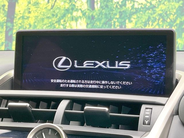 NX300 Fスポーツ