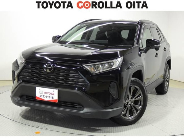 RAV42.0 X