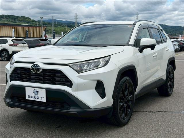 RAV42.0 X