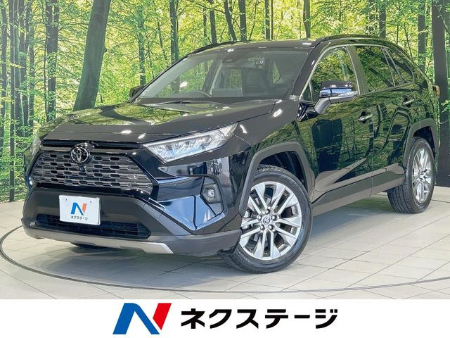 RAV42.0 G Zパッケージ 4WD
