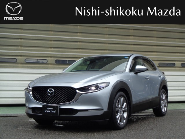 CX-302.0 20S プロアクティブ