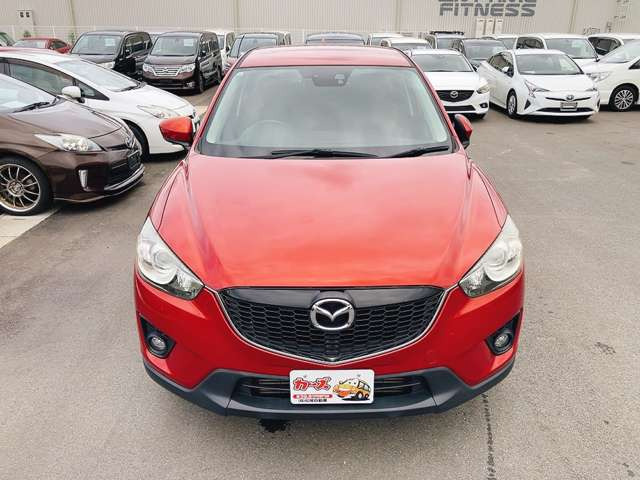 WEB�ETEL���k�s�Ȃ��Ă���܂�!�����X���������Ȃ��Ă����k�E���w���\�ł�!���C�y�ɓX���ւ��⍇������������