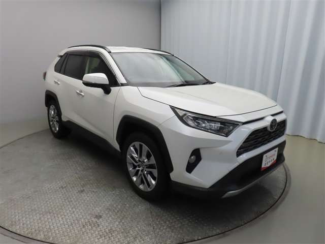 RAV4