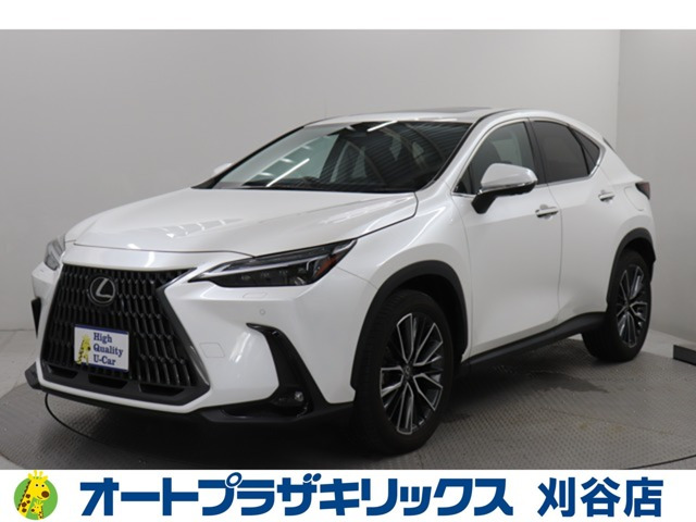 NX250 バージョンL