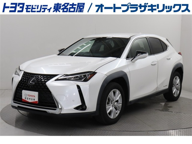 UX250h バージョンC