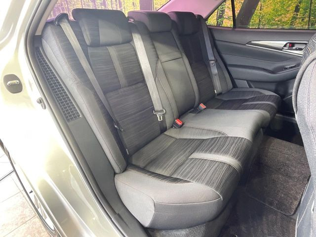 �㕔���Ȃ��C�ɂȂ�悤�ȃL�Y�E�����ւ��蓙�A�傫�ȃ_���[�W�͂Ȃ��A�ǍD�ȏ�Ԃł��B