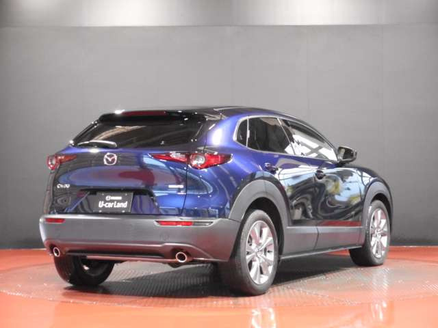 CX-301.8 XD Lパッケージ