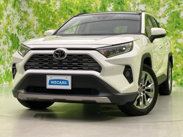 RAV42.0 G Zパッケージ 4WD