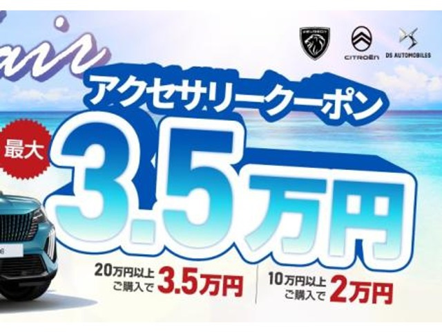 C3レザーエディション