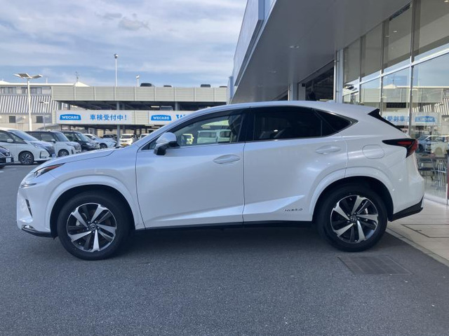 NX300h バージョンL