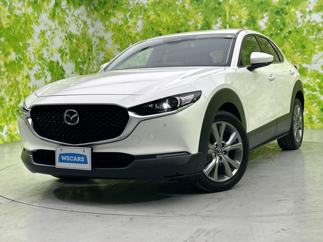 CX-301.8 XD プロアクティブ ツーリングセレクション