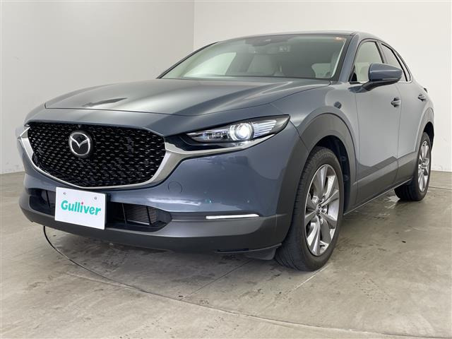 CX-302.0 20S プロアクティブ