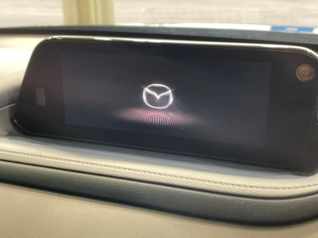 CX-302.0 20S